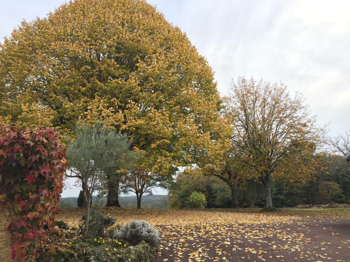 Domaine De Lascaux Montignac-Lascaux